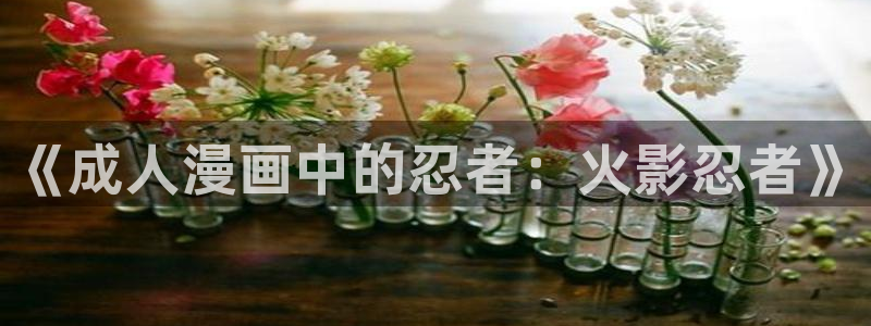 喵趣漫画正版在线下载：《成人漫画中的忍者：火影忍者》