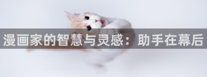喵趣漫画免广告：漫画家的智慧与灵感：助手在幕后