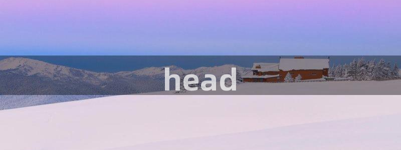 喵趣漫画看不了：head