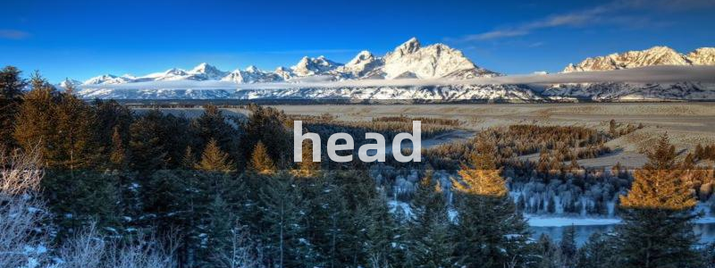 私生饭漫画免费看喵趣：head