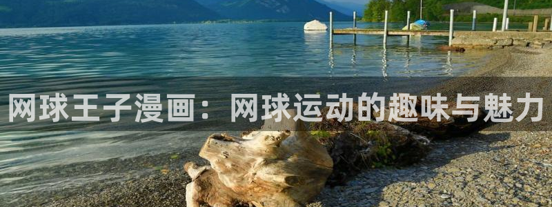 喵趣漫画(喵上复活)：网球王子漫画：网球运动的趣味与魅力