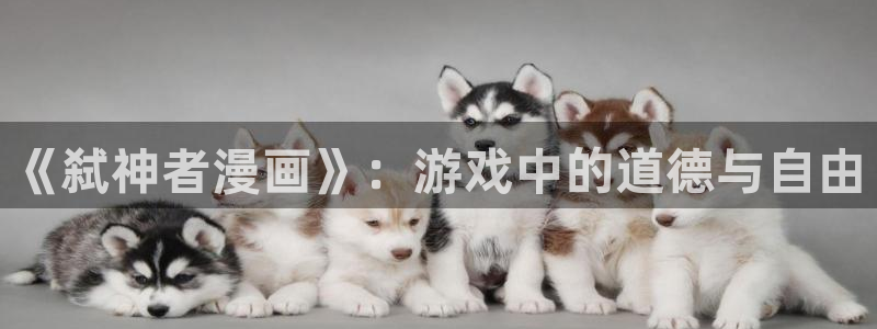 喵趣漫画为什么用不了了：《弑神者漫画》：游戏中的道德与自由