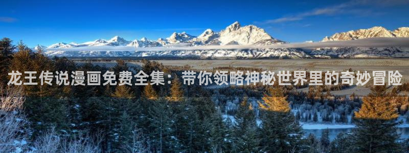 喵趣动漫下载官网：龙王传说漫画免费全集：带你领略神秘世界里的奇妙冒险