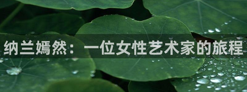 喵趣漫正版下载：纳兰嫣然：一位女性艺术家的旅程